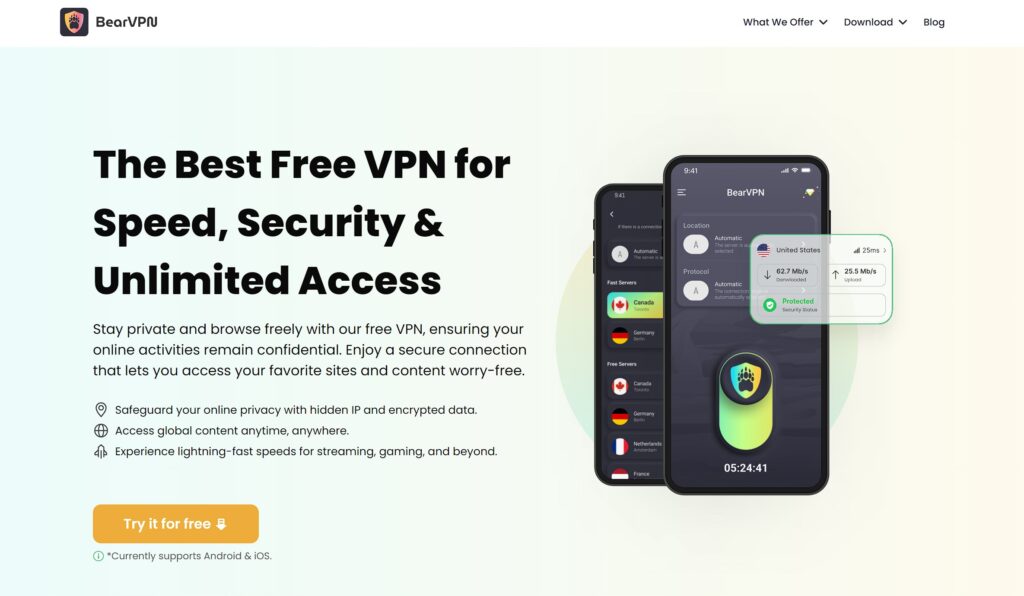 BearVPN Overview