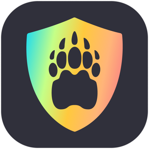BearVPN logo