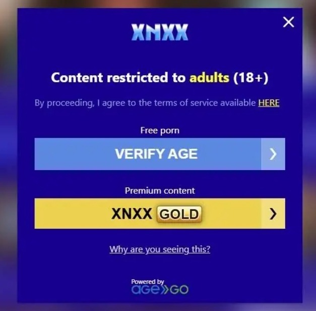 XNXX Website Age Verification