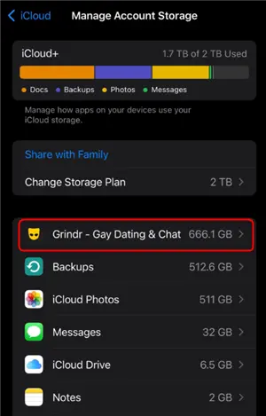 Clear Grindr App Data on iPhone