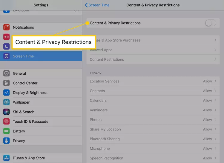 Tap Content & Privacy Restrictions