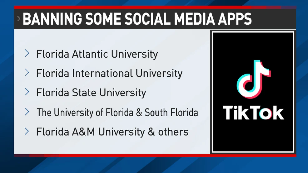 Schools Banned TikTok