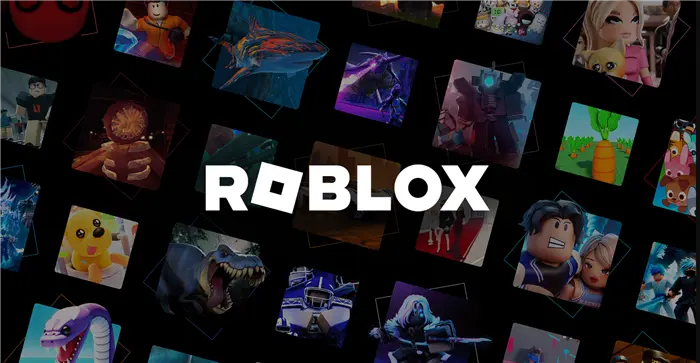 What Is a Private Server on Roblox